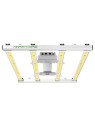 MARS HYDRO FC-E3000 BRIDGELUX 300W LED GROW LIGHT