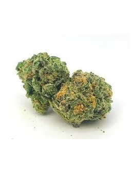 Blue Dream - Ozzo CBD Ziedi...