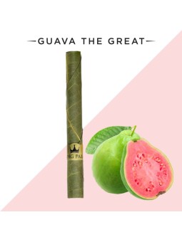 King Palm - Guava The Great...