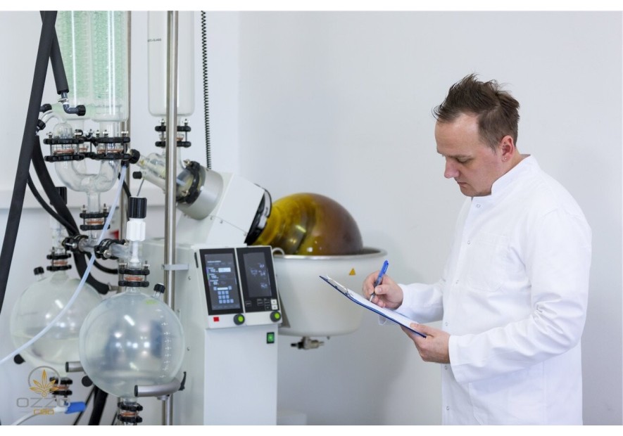 How to make CBD oil? Main extraction methods